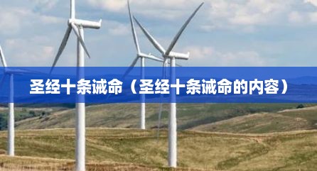 圣经十条诫命（圣经十条诫命的内容）