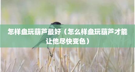 怎样盘玩葫芦最好（怎么样盘玩葫芦才能让他尽快变色）