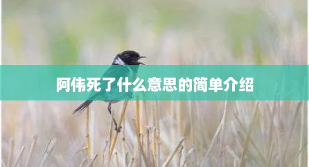 阿伟死了什么意思的简单介绍