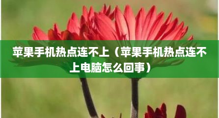 苹果手机热点连不上（苹果手机热点连不上电脑怎么回事）