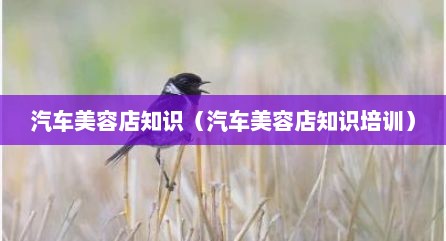 汽车美容店知识（汽车美容店知识培训）