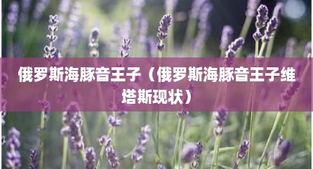 俄罗斯海豚音王子（俄罗斯海豚音王子维塔斯现状）