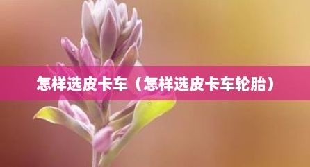 怎样选皮卡车（怎样选皮卡车轮胎）