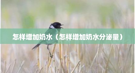 怎样增加奶水（怎样增加奶水分泌量）