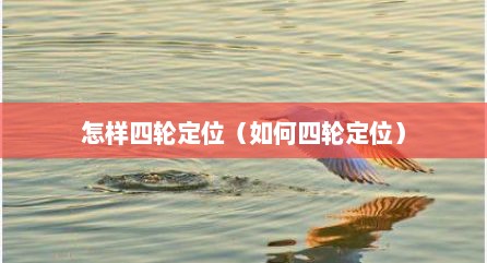 怎样四轮定位（如何四轮定位）