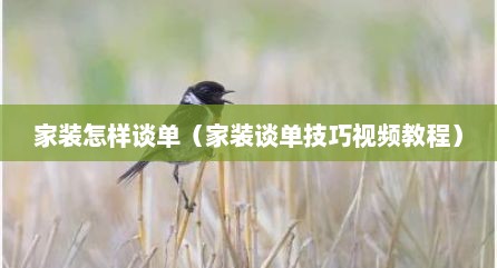 家装怎样谈单（家装谈单技巧视频教程）