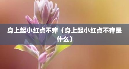 身上起小红点不痒（身上起小红点不痒是什么）