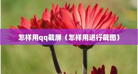 怎样用qq截屏（怎样用进行截图）