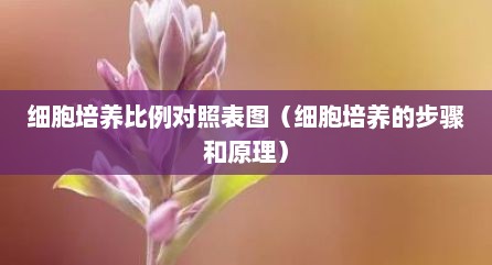 细胞培养比例对照表图（细胞培养的步骤和原理）