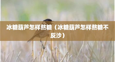 冰糖葫芦怎样熬糖（冰糖葫芦怎样熬糖不反沙）