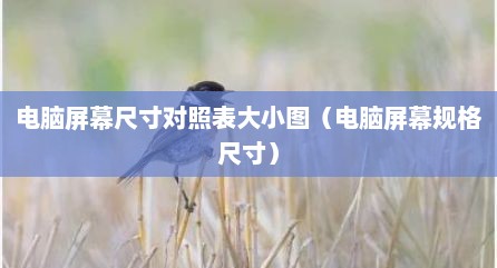 电脑屏幕尺寸对照表大小图（电脑屏幕规格尺寸）