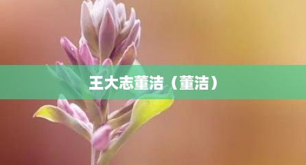 王大志董洁（董洁）