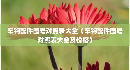 车钩配件图号对照表大全（车钩配件图号对照表大全及价格）