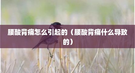 腰酸背痛怎么引起的（腰酸背痛什么导致的）