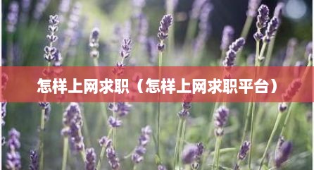 怎样上网求职（怎样上网求职平台）
