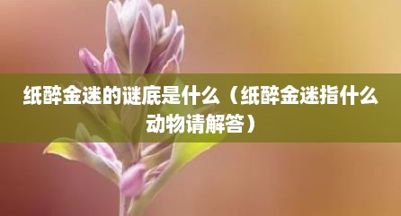 纸醉金迷的谜底是什么（纸醉金迷指什么动物请解答）