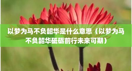 以梦为马不负韶华是什么意思（以梦为马不负韶华砥砺前行未来可期）