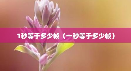 1秒等于多少帧（一秒等于多少帧）