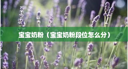 宝宝奶粉（宝宝奶粉段位怎么分）