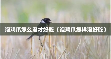 泡鸡爪怎么泡才好吃（泡鸡爪怎样泡好吃）