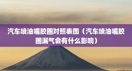 汽车喷油嘴胶圈对照表图（汽车喷油嘴胶圈漏气会有什么影响）