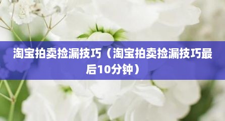 淘宝拍卖捡漏技巧（淘宝拍卖捡漏技巧最后10分钟）