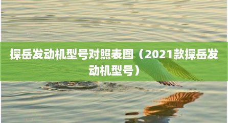 探岳发动机型号对照表图（2021款探岳发动机型号）