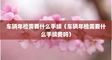 车辆年检需要什么手续（车辆年检需要什么手续费吗）