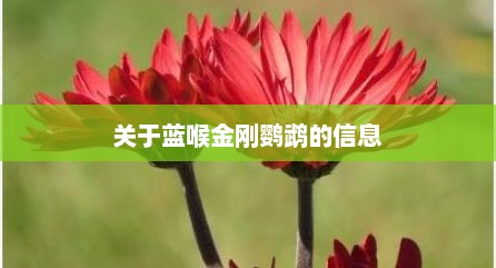 关于蓝喉金刚鹦鹉的信息