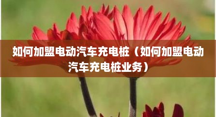 如何加盟电动汽车充电桩（如何加盟电动汽车充电桩业务）