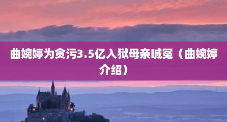 曲婉婷为贪污3.5亿入狱母亲喊冤（曲婉婷介绍）