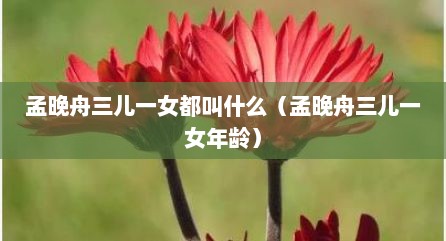 孟晚舟三儿一女都叫什么（孟晚舟三儿一女年龄）