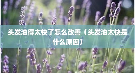 头发油得太快了怎么改善（头发油太快是什么原因）