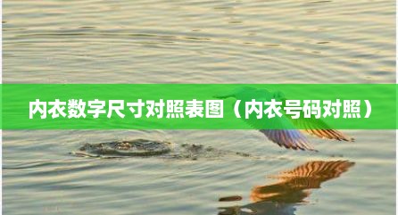 内衣数字尺寸对照表图（内衣号码对照）