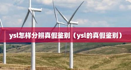 ysl怎样分辨真假鉴别（ysl的真假鉴别）