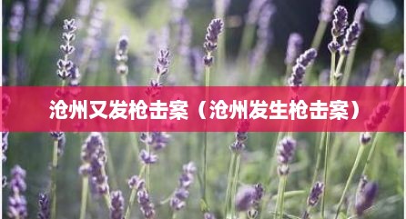 沧州又发枪击案（沧州发生枪击案）