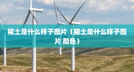 稀土是什么样子图片（稀土是什么样子图片 颜色）