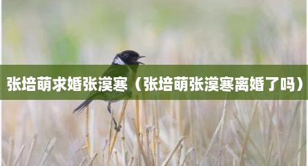 张培萌求婚张漠寒（张培萌张漠寒离婚了吗）