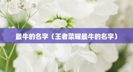 最牛的名字（王者荣耀最牛的名字）