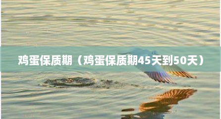 鸡蛋保质期（鸡蛋保质期45天到50天）