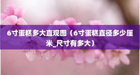 6寸蛋糕多大直观图（6寸蛋糕直径多少厘米_尺寸有多大）