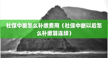 社保中断怎么补缴费用（社保中断以后怎么补缴算连续）