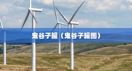 鬼谷子罐（鬼谷子罐图）