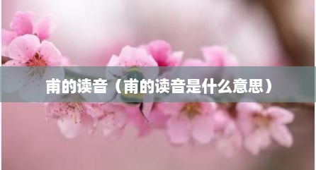 甫的读音（甫的读音是什么意思）