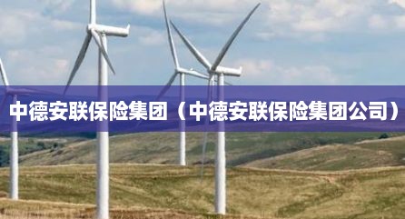 中德安联保险集团（中德安联保险集团公司）