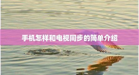 手机怎样和电视同步的简单介绍