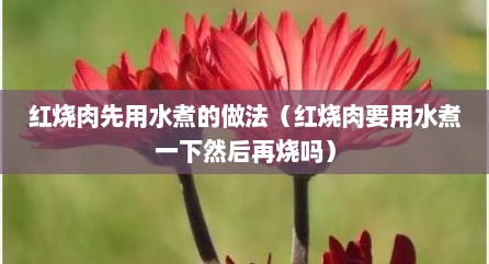红烧肉先用水煮的做法（红烧肉要用水煮一下然后再烧吗）