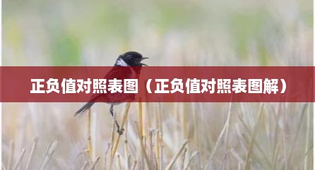 正负值对照表图（正负值对照表图解）