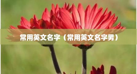 常用英文名字（常用英文名字男）