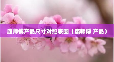 康师傅产品尺寸对照表图（康师傅 产品）